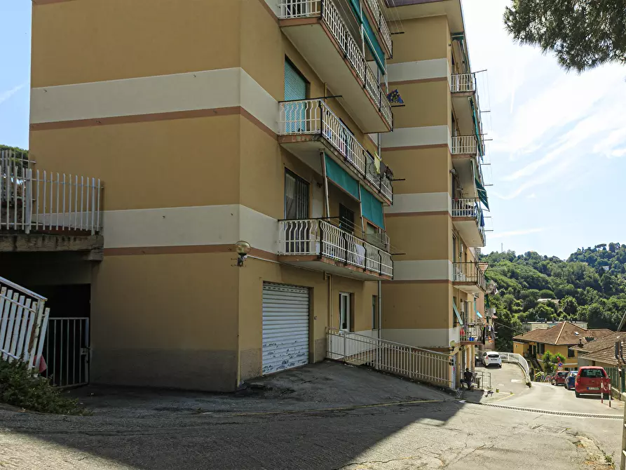 Immagine 43 di Quadrilocale in vendita  in Via Fratelli Gazzo 22/14 a Serra Riccò