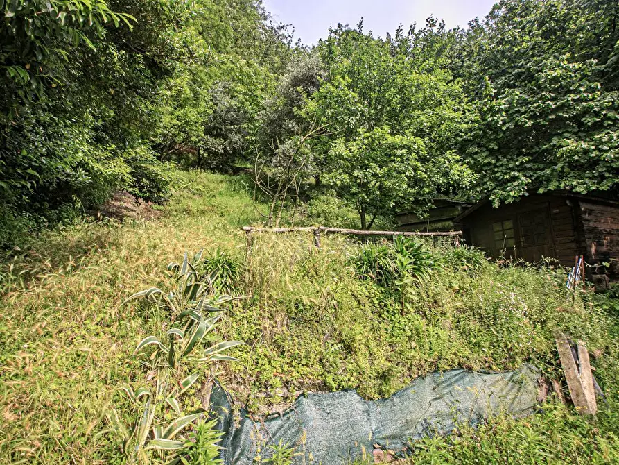 Immagine 4 di Bilocale in vendita  in Salita Castrofino a Genova