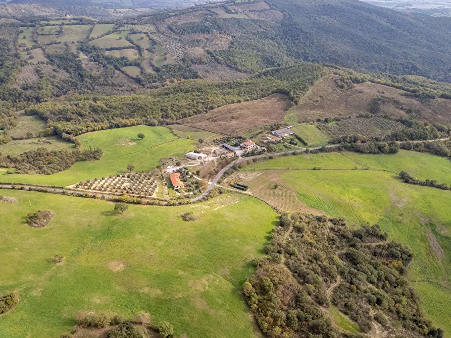 Immagine 1 di Rustico / casale in vendita  in Strada Provinciale Ragnaie 147 a Scansano