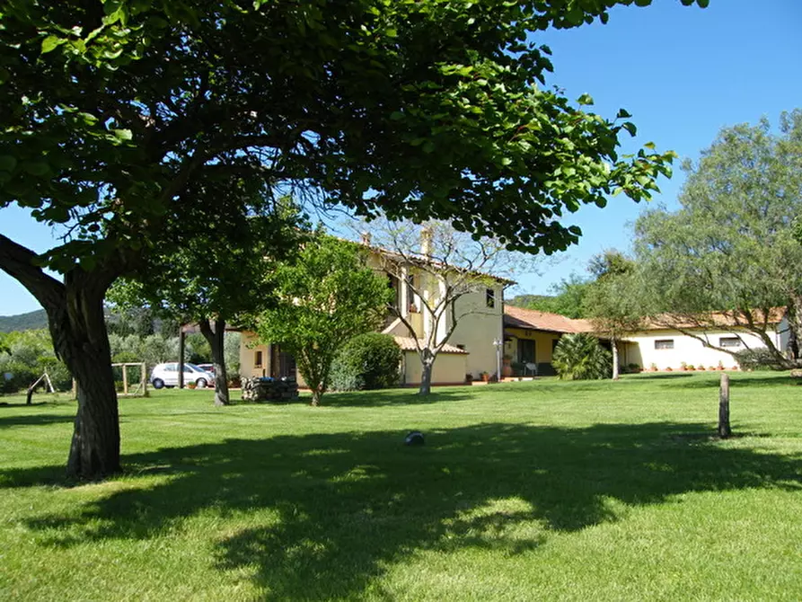 Immagine 1 di Villa in vendita  a Orbetello