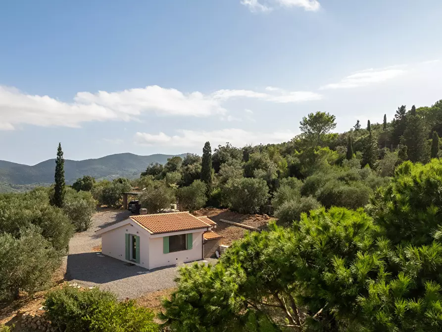 Immagine 3 di Casa indipendente in vendita  in Via della cacciarella 2 a Monte Argentario