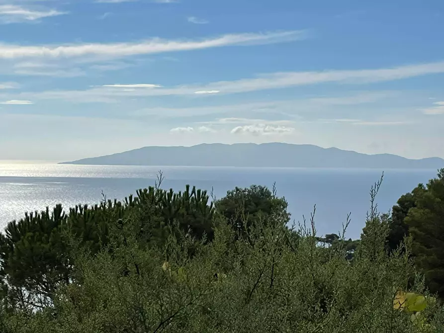 Immagine 5 di Porzione di casa in vendita  in Cala Piccola snc a Monte Argentario