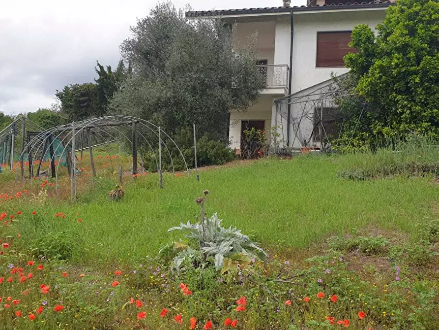 Immagine 6 di Rustico / casale in vendita  in via francesco rossi a Cinzano