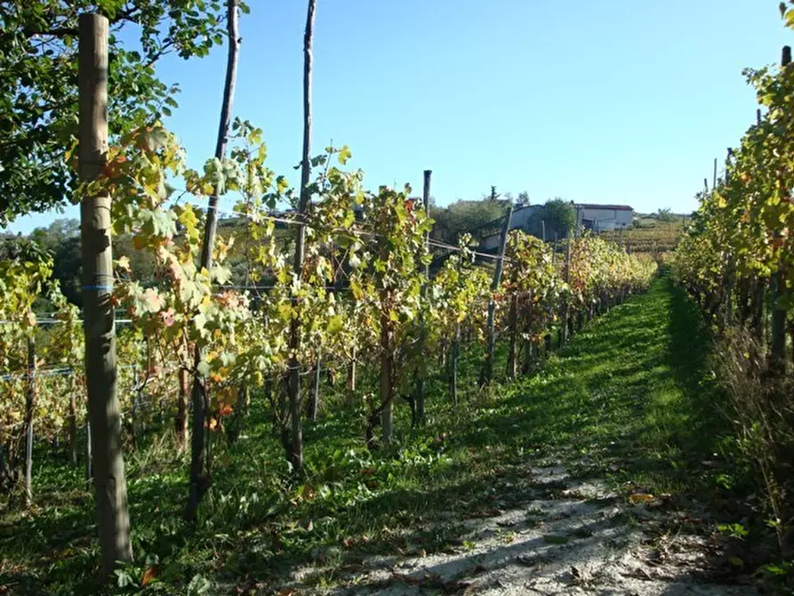Immagine 9 di Casa indipendente in vendita  in Borgata Pamparato 29 a Dogliani