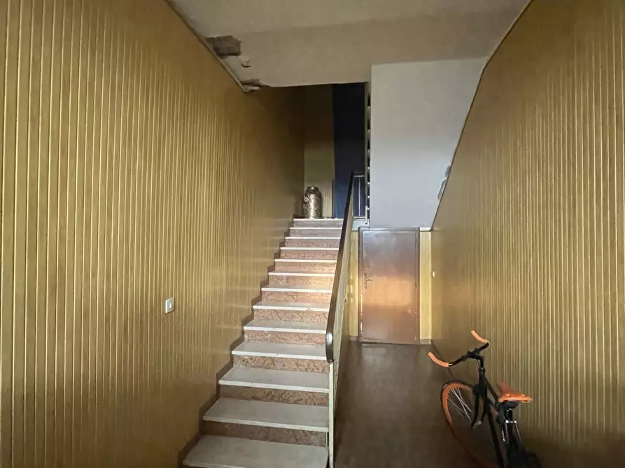 Immagine 15 di Azienda agricola in vendita  in Via al Serraglio 35 a Colorno