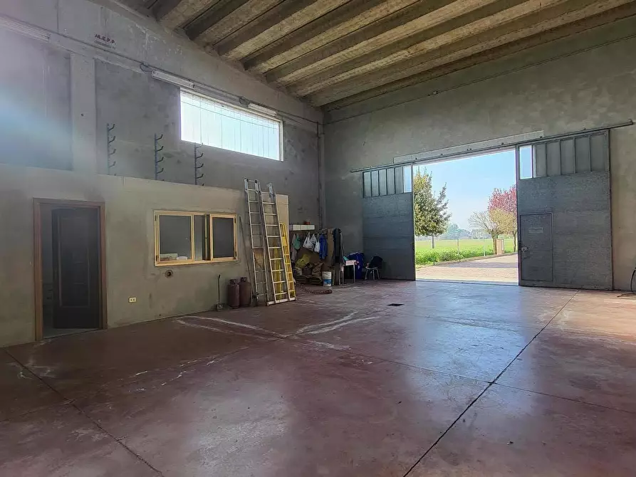 Immagine 52 di Casa bifamiliare in vendita  in Strada Bassa 3 a San Secondo Parmense