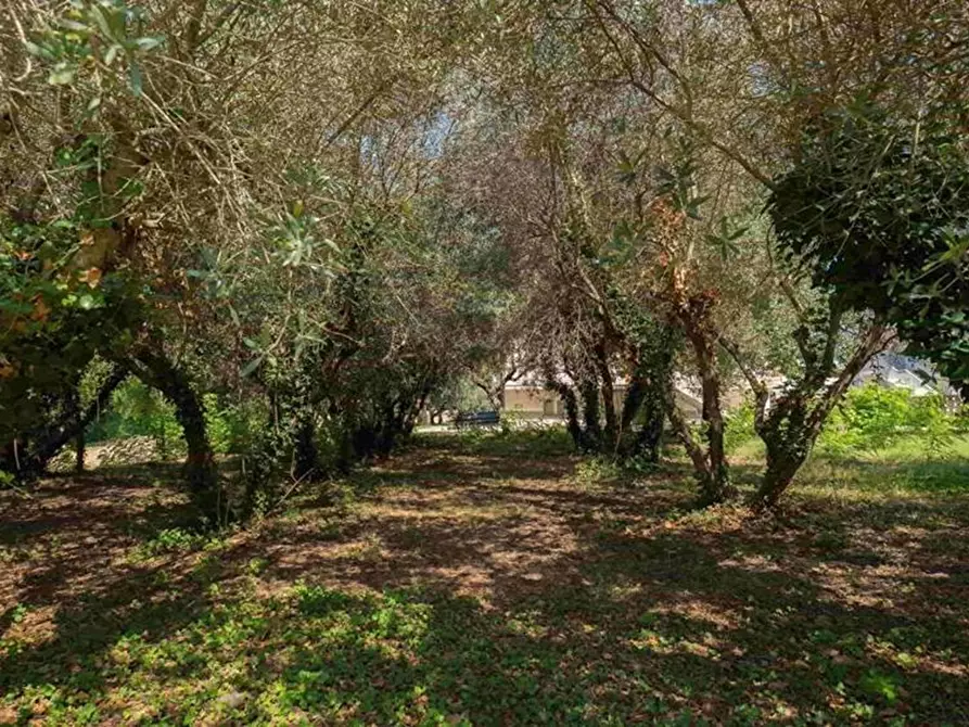 Immagine 10 di Casa indipendente in vendita  a Monte Porzio