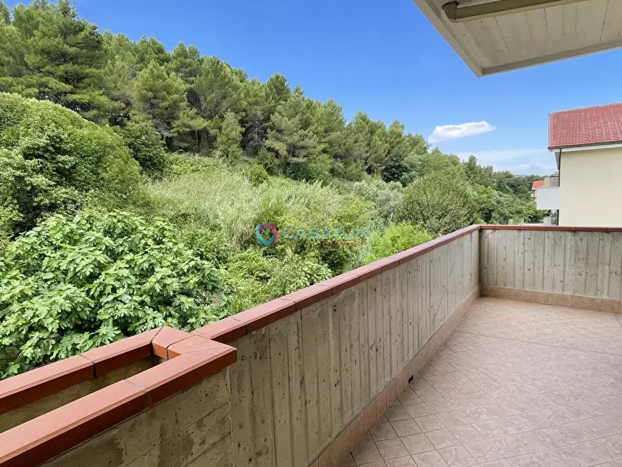 Immagine 32 di Attico in vendita  a Pineto