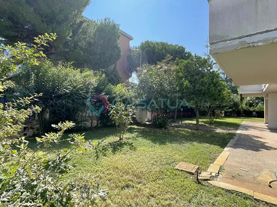 Immagine 4 di Quadrilocale in vendita  a Silvi