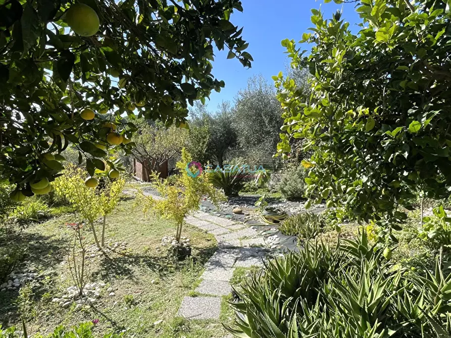 Immagine 38 di Casa indipendente in vendita  a Silvi