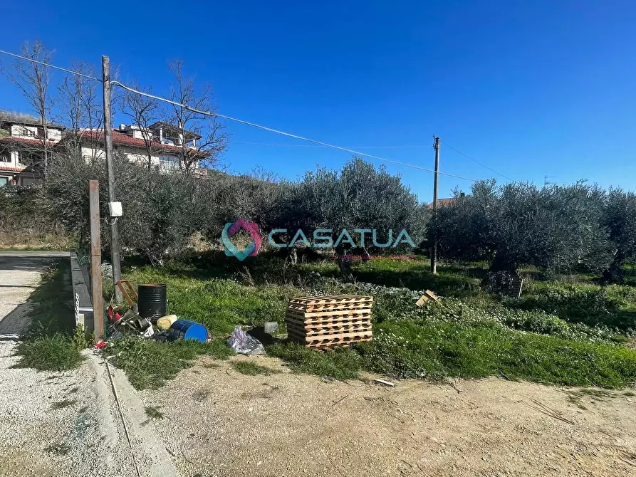 Immagine 37 di Terreno agricolo in vendita  a Silvi