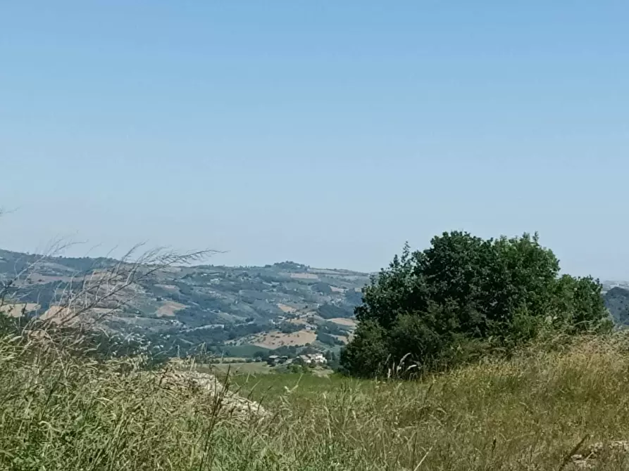 Immagine 12 di Terreno agricolo in vendita  a Farindola