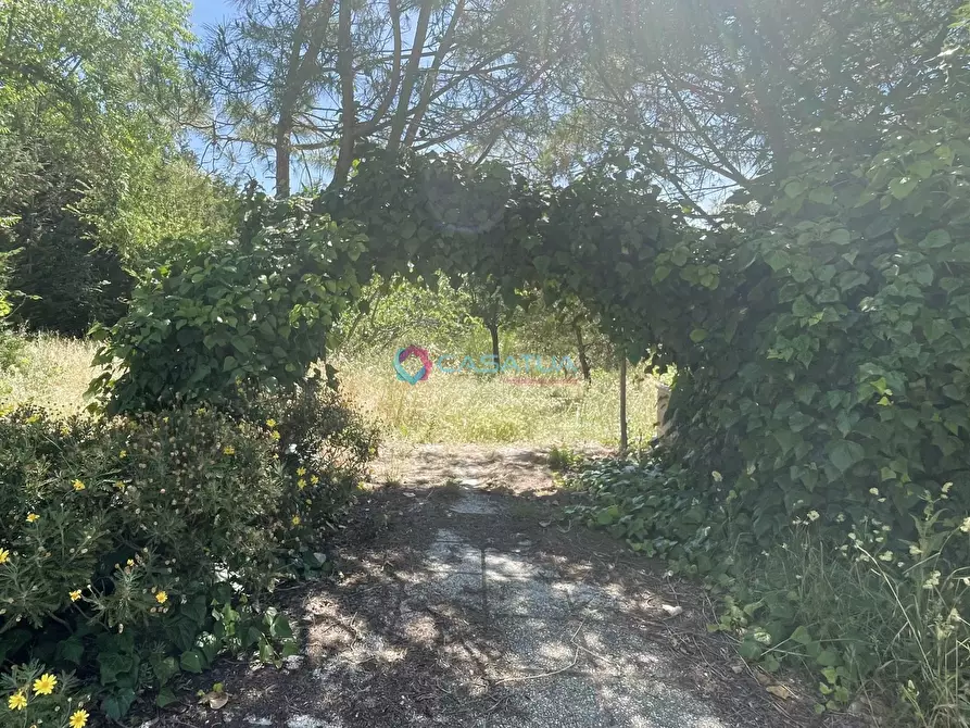 Immagine 43 di Villa in vendita  in Contrada Cretone 9 a Pineto