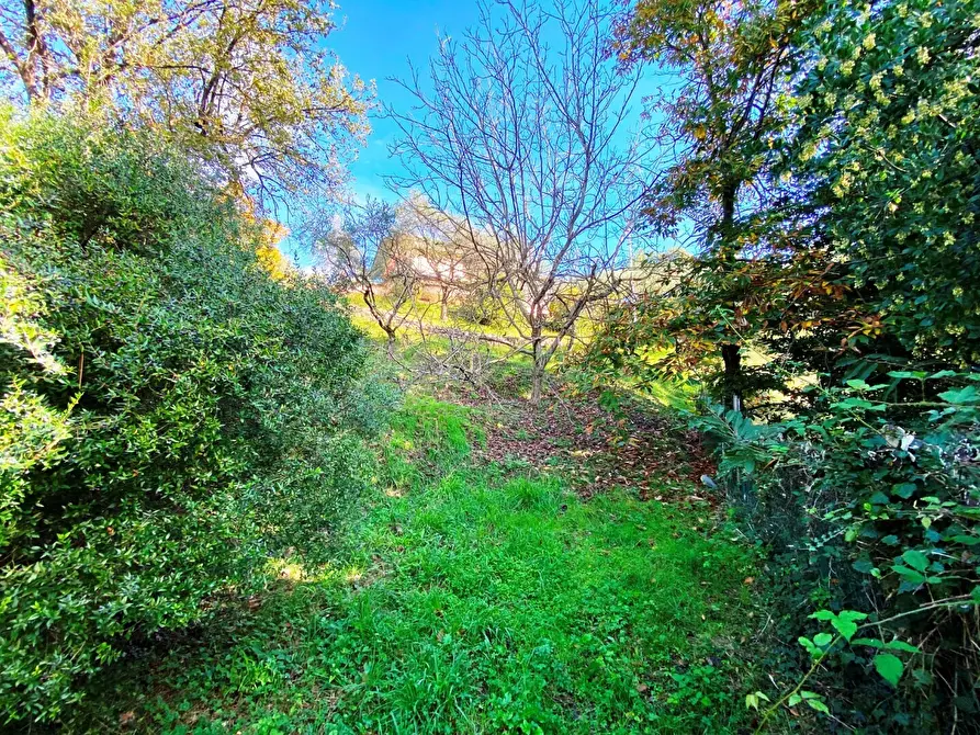 Immagine 20 di Villa in vendita  in Via Ghigliolo Alto 26 a Sarzana