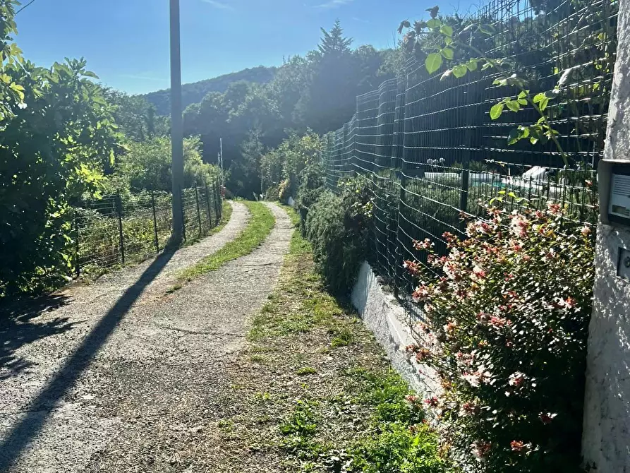 Immagine 58 di Rustico / casale in vendita  in Via Soggia 6 a Sarzana