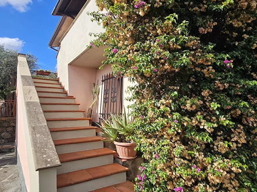 Immagine 5 di Villetta a schiera in vendita  in Via Porredo 152 a Fosdinovo