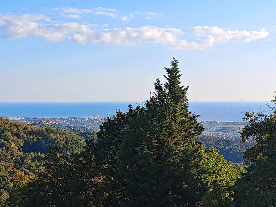 Immagine 24 di Porzione di casa in vendita  in SP23 683 a Castelnuovo Magra