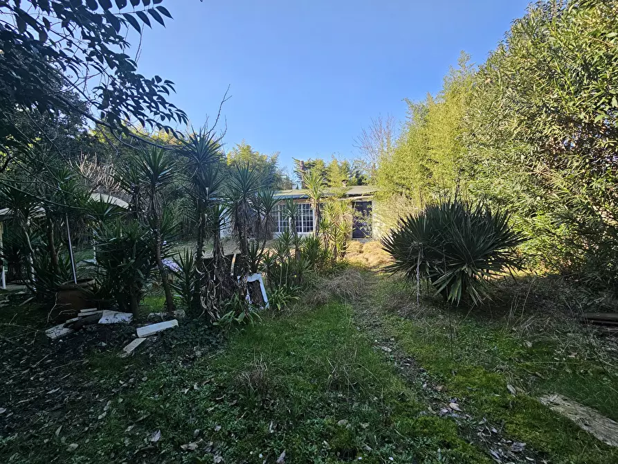 Immagine 3 di Rustico / casale in vendita  a Ameglia