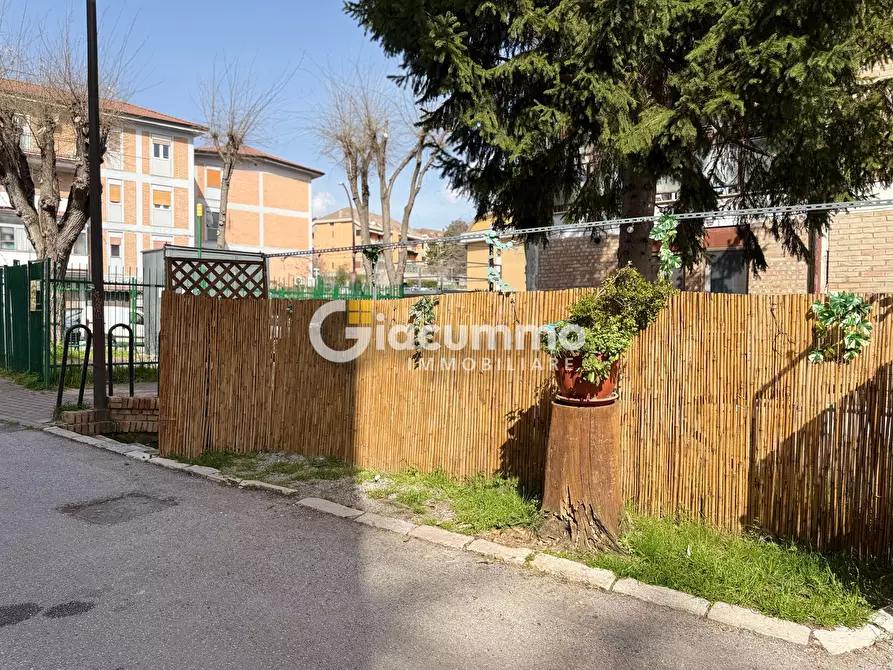 Immagine 15 di Pizzeria / Pub in vendita  in Viale Firenze 27 a Potenza