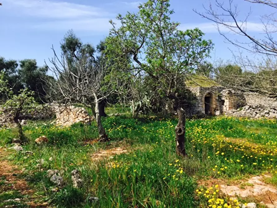 Immagine 11 di Terreno edificabile in vendita  in Contrada Giovannarolla a Ostuni