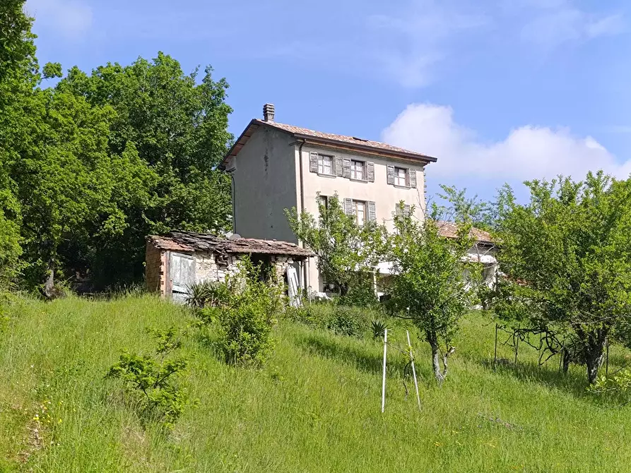 Immagine 1 di Casa indipendente in vendita  a Bore