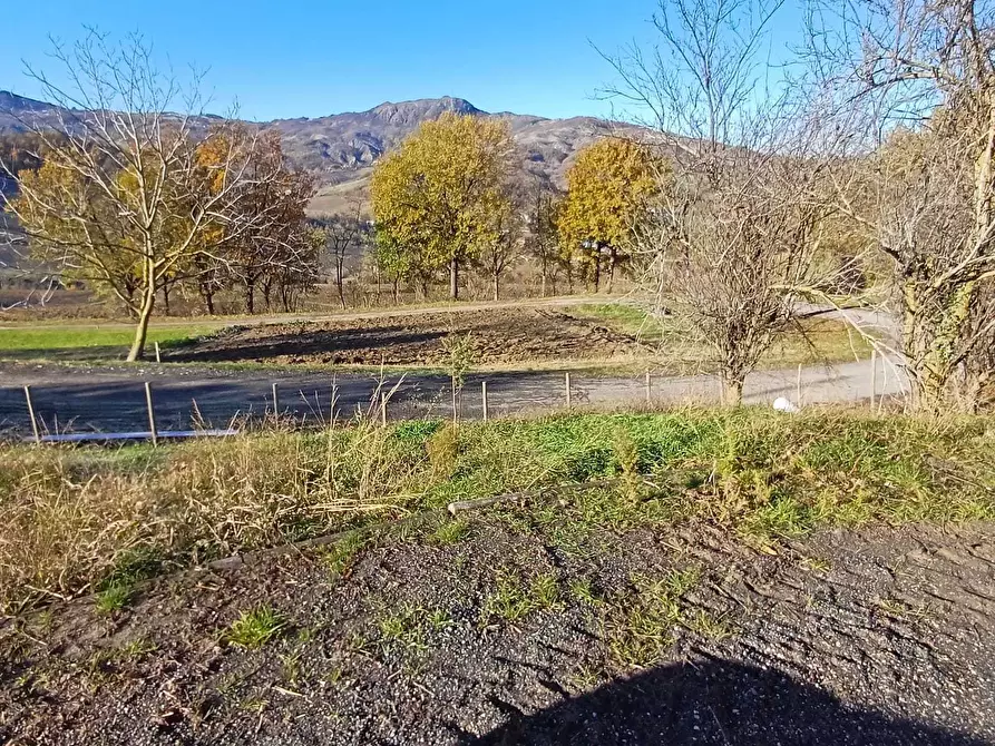 Immagine 22 di Rustico / casale in vendita  a Terenzo