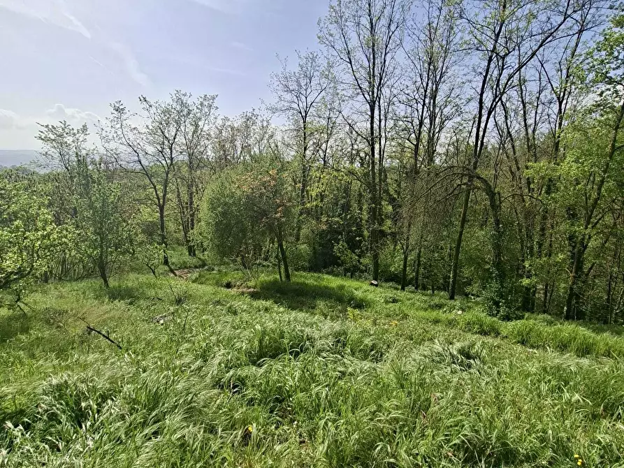 Immagine 25 di Casa indipendente in vendita  a Medesano