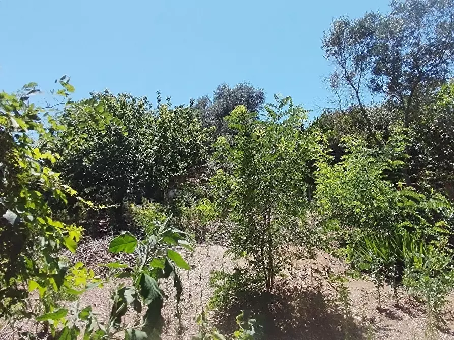 Immagine 6 di Rustico / casale in vendita  in via dell gardenie 33 a Aprilia