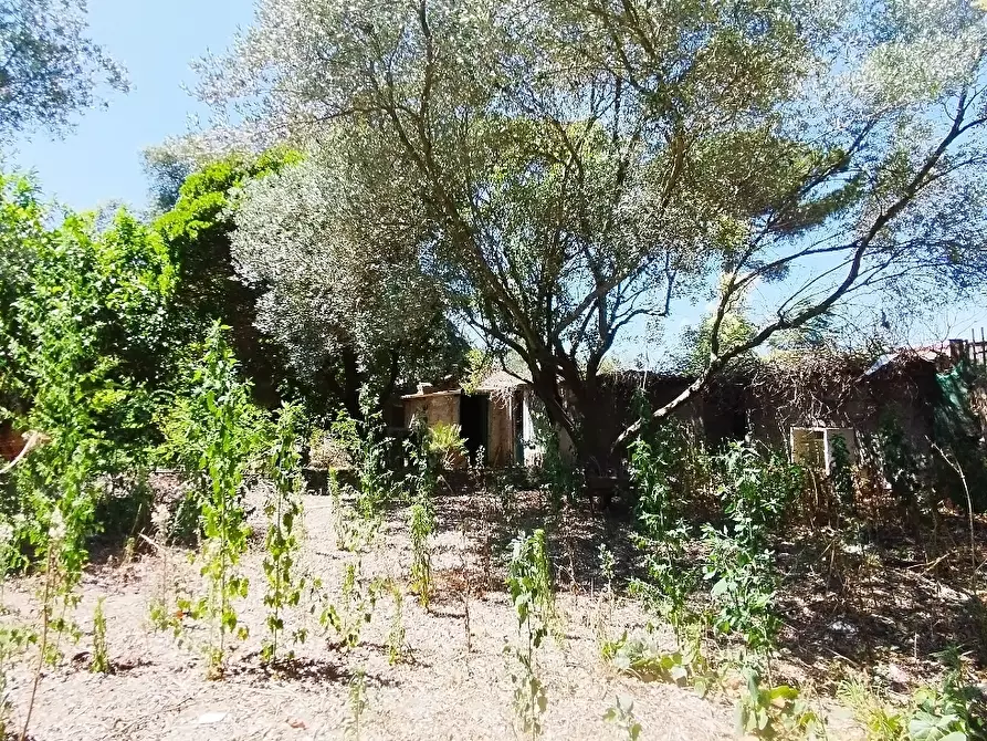 Immagine 3 di Rustico / casale in vendita  in via dell gardenie 33 a Aprilia