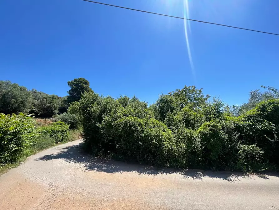 Immagine 1 di Terreno agricolo in vendita  in Via del Sorbo a Monte Argentario