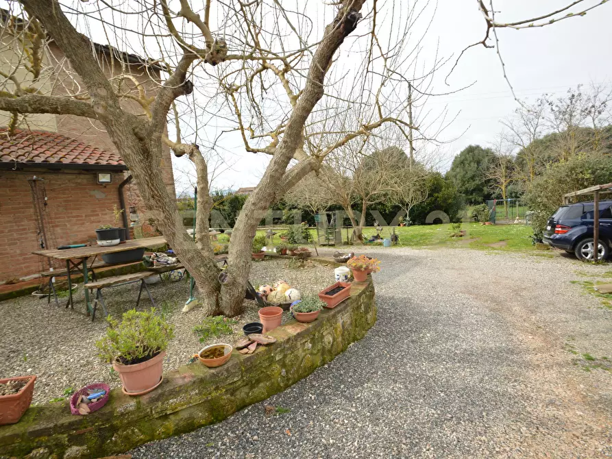 Immagine 9 di Rustico / casale in vendita  in Via Maria Alessandra Barbantini 8 a Grosseto