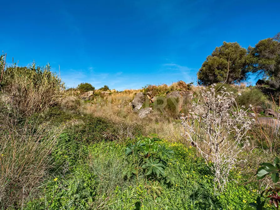 Immagine 16 di Terreno agricolo in vendita  in Via Vampolieri a Aci Castello