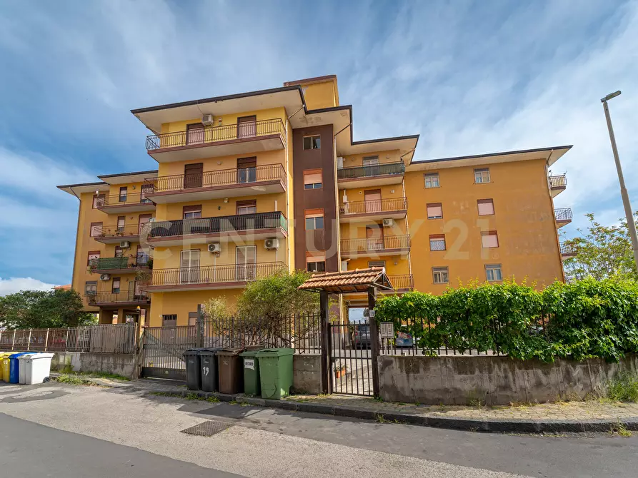 Immagine 14 di Quadrilocale in vendita  in Via Marcellino Giuseppe 19 a Catania