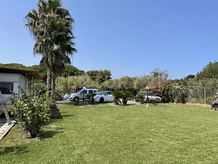 Immagine 24 di Terreno agricolo in vendita  in Strada Provinciale della Giannella a Orbetello