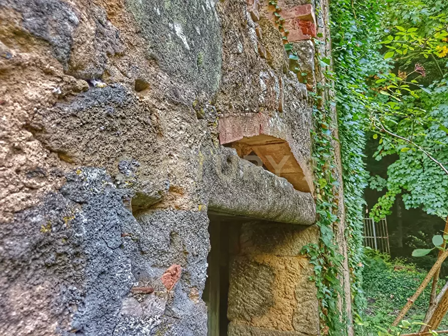 Immagine 6 di Rustico / casale in vendita  in Via dell'Eremo 1 a Castiglione D'orcia