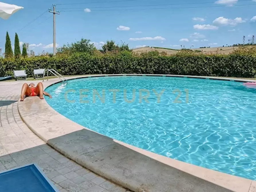 Immagine 6 di Rustico / casale in vendita  in podere collodi snc a Montalcino