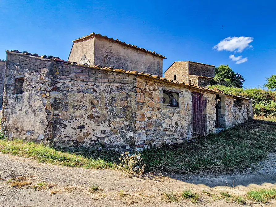 Immagine 5 di Rustico / casale in vendita  in località case cinigliano a Roccastrada