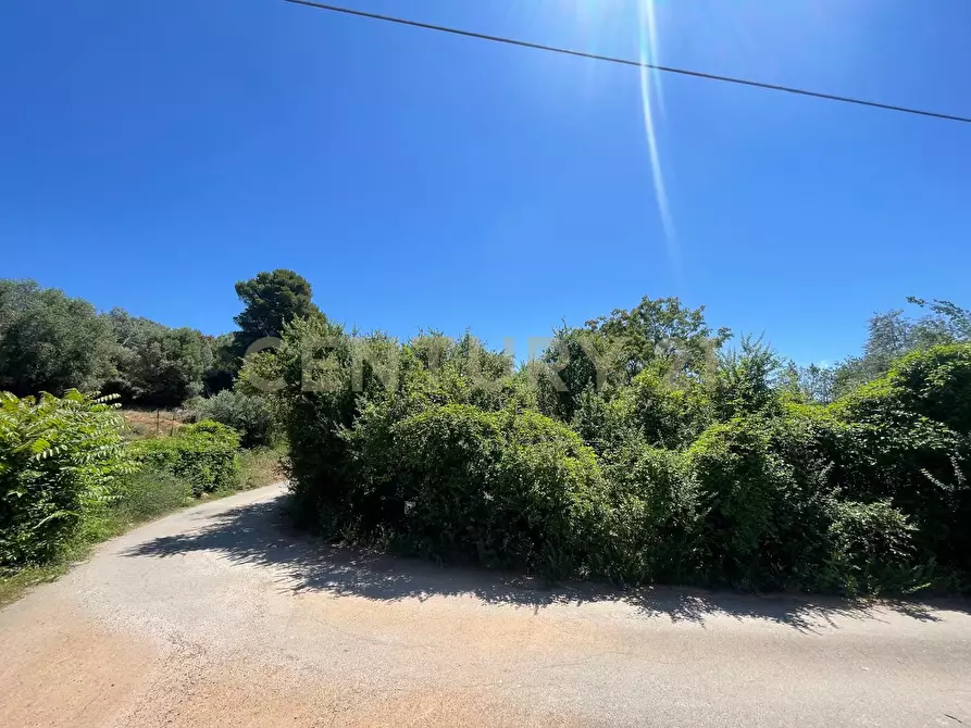 Immagine 1 di Terreno agricolo in vendita  in Via Spaccabellezze 79 a Monte Argentario