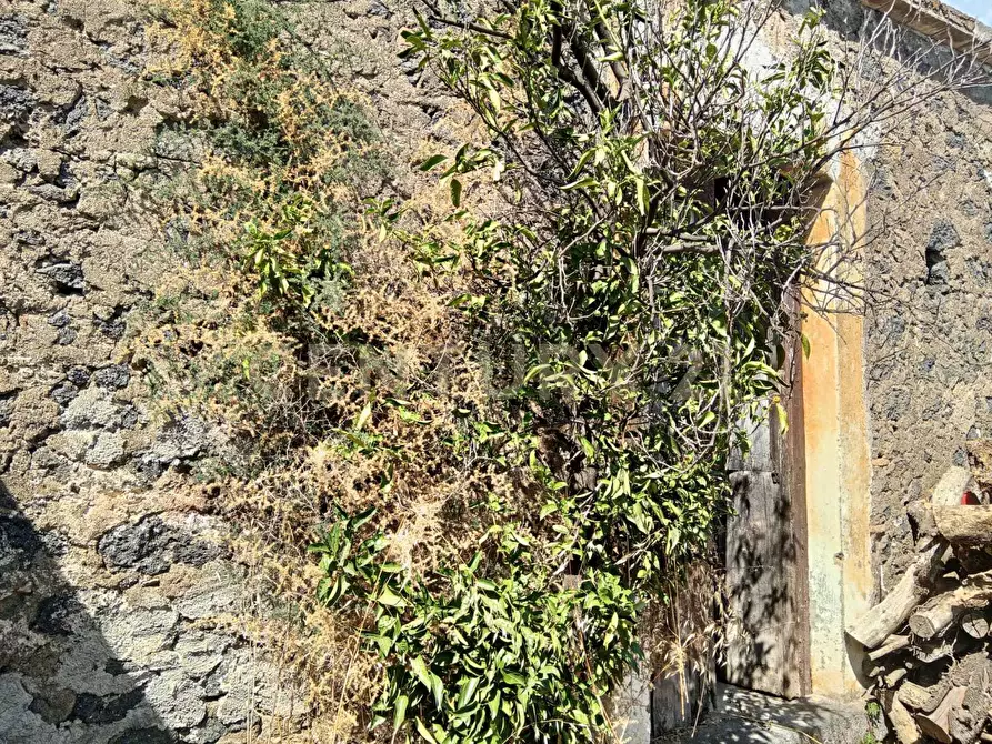 Immagine 37 di Rustico / casale in vendita  in Via Maugeri 12 a Valverde