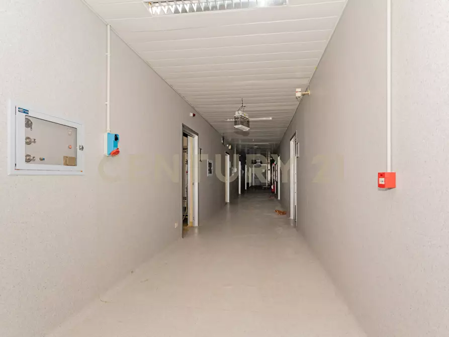 Immagine 10 di Attività artigianale in vendita  in Strada III Mimosa 14 a Catania