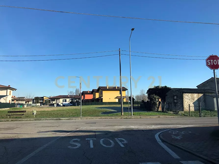 Immagine 4 di Terreno agricolo in vendita  in Via Angiaresca snc a San Pietro Di Morubio