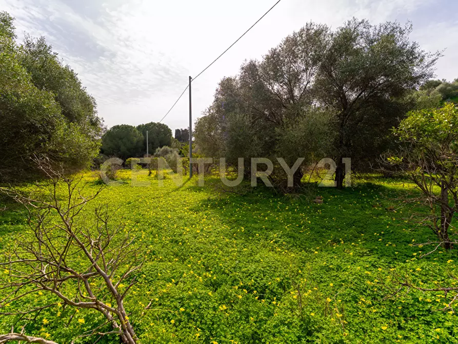 Immagine 24 di Terreno agricolo in vendita  in Contrada Vaccarizzo a Catania
