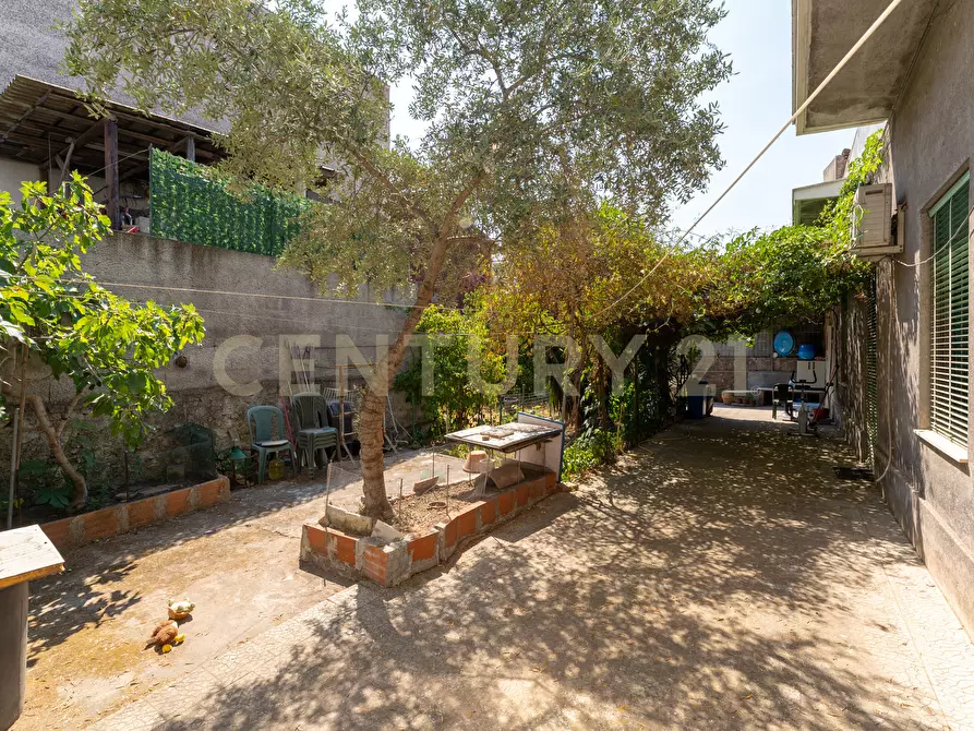 Immagine 14 di Casa indipendente in vendita  in Via Roma 66 a Camporotondo Etneo