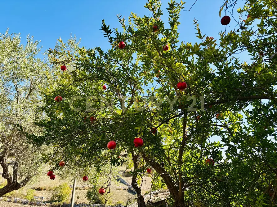 Immagine 44 di Rustico / casale in vendita  in strada provinciale 104 a Modica