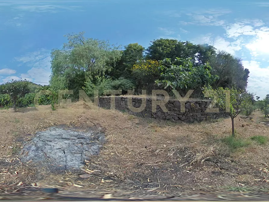 Immagine 94 di Villa in vendita  in Via Dietro Serra 2 a Viagrande