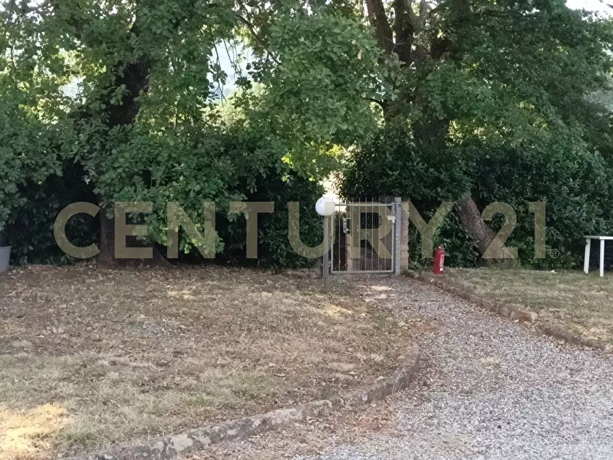 Immagine 6 di Rustico / casale in vendita  in località Baraccone s.n.c. a Gavorrano