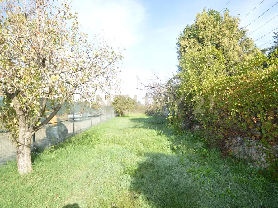 Immagine 29 di Terreno agricolo in vendita  in Via Alberto Sordi 12 a Grosseto