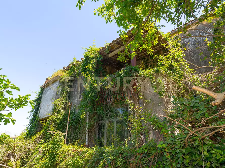 Immagine 32 di Rustico / casale in vendita  in Via Roccamena 84 a Acireale