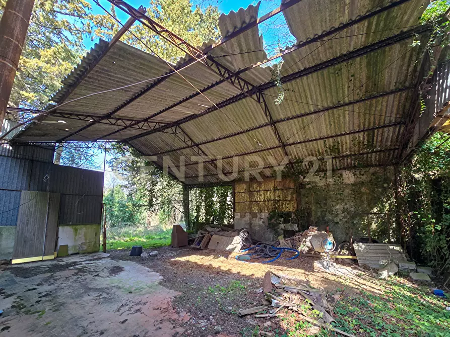Immagine 20 di Rustico / casale in vendita  in Strada Provinciale 7 a Cinigiano