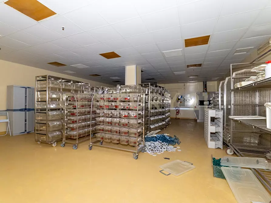 Immagine 26 di Attività artigianale in vendita  in Strada III Mimosa 14 a Catania